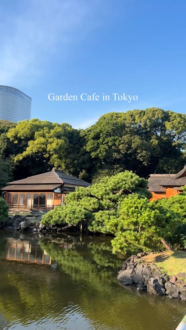 Tokyo Garden Cafes Offer Matcha With Pond Views