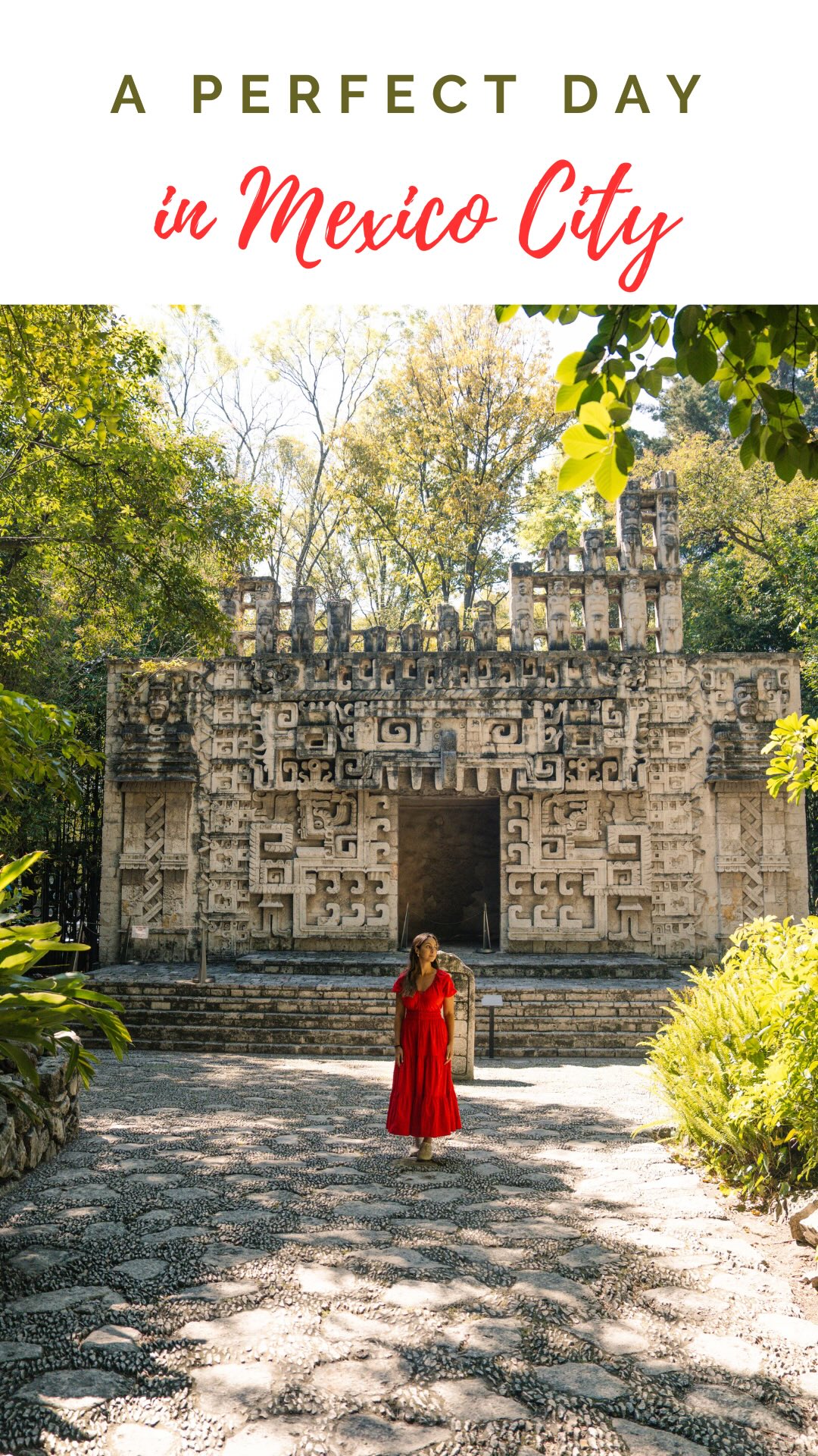 Roma Norte's Best Food, Drink, and Culture Spots