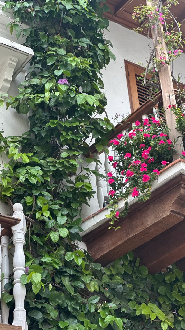 Cartagena's Walled City Charm and Landmarks