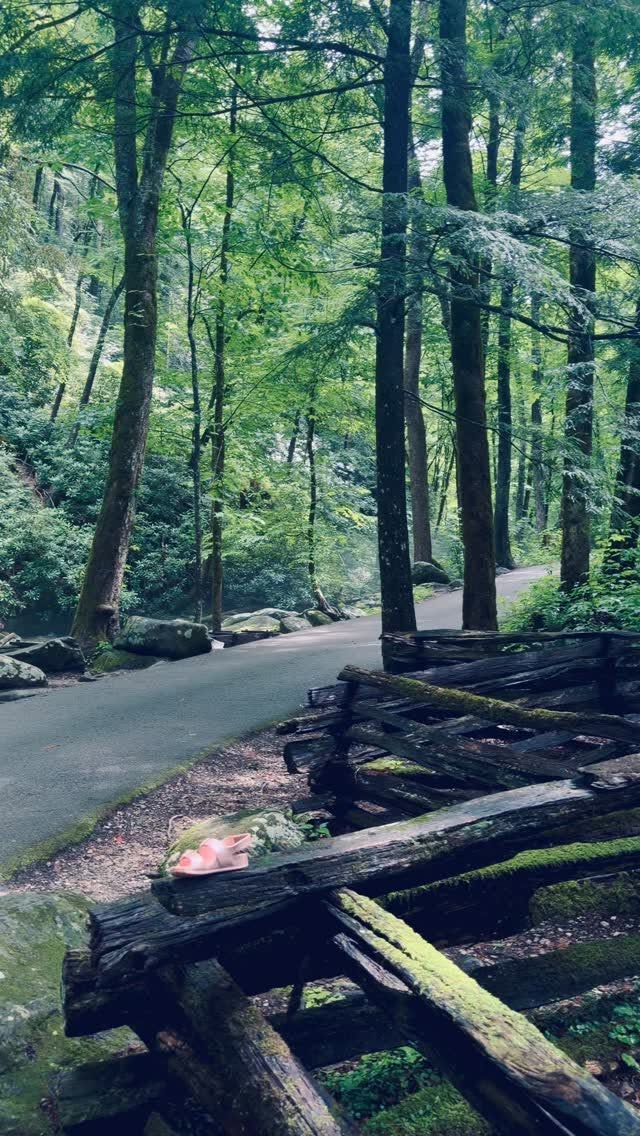 Smoky Mountains National Park Natural Wonders