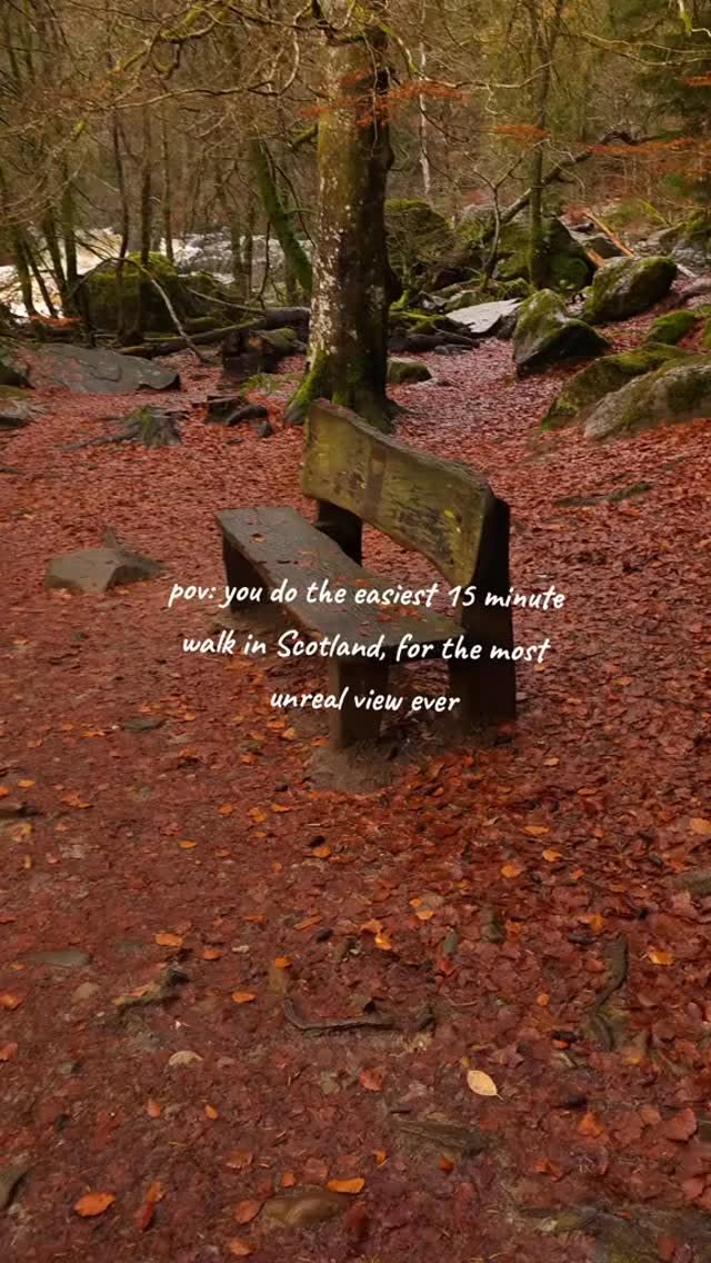 The Hermitage: A Magical Scottish Autumn Walk