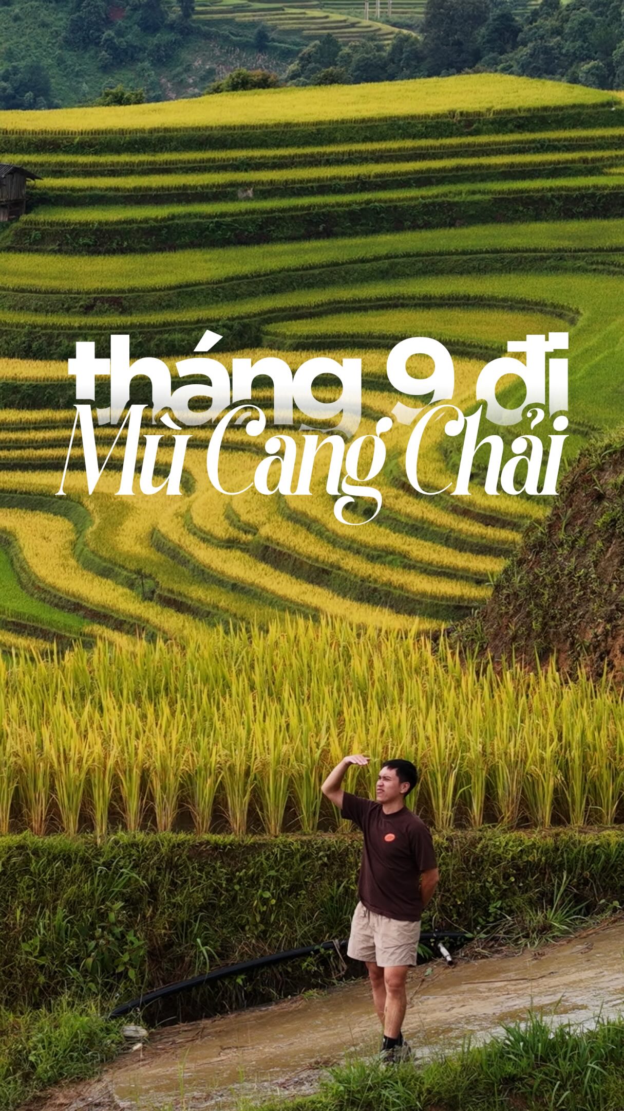 Mu Cang Chai's Golden Rice Terraces and Top Spots