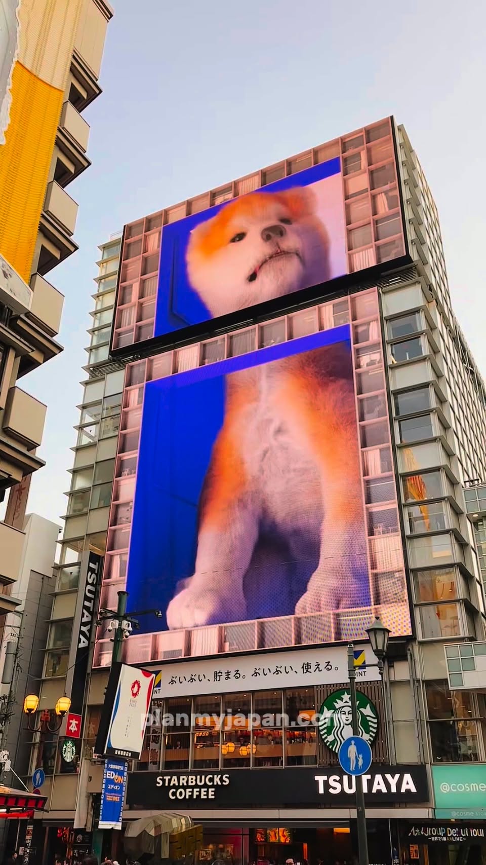 Osaka's Dotonbori Features Giant 3D Dog Billboard