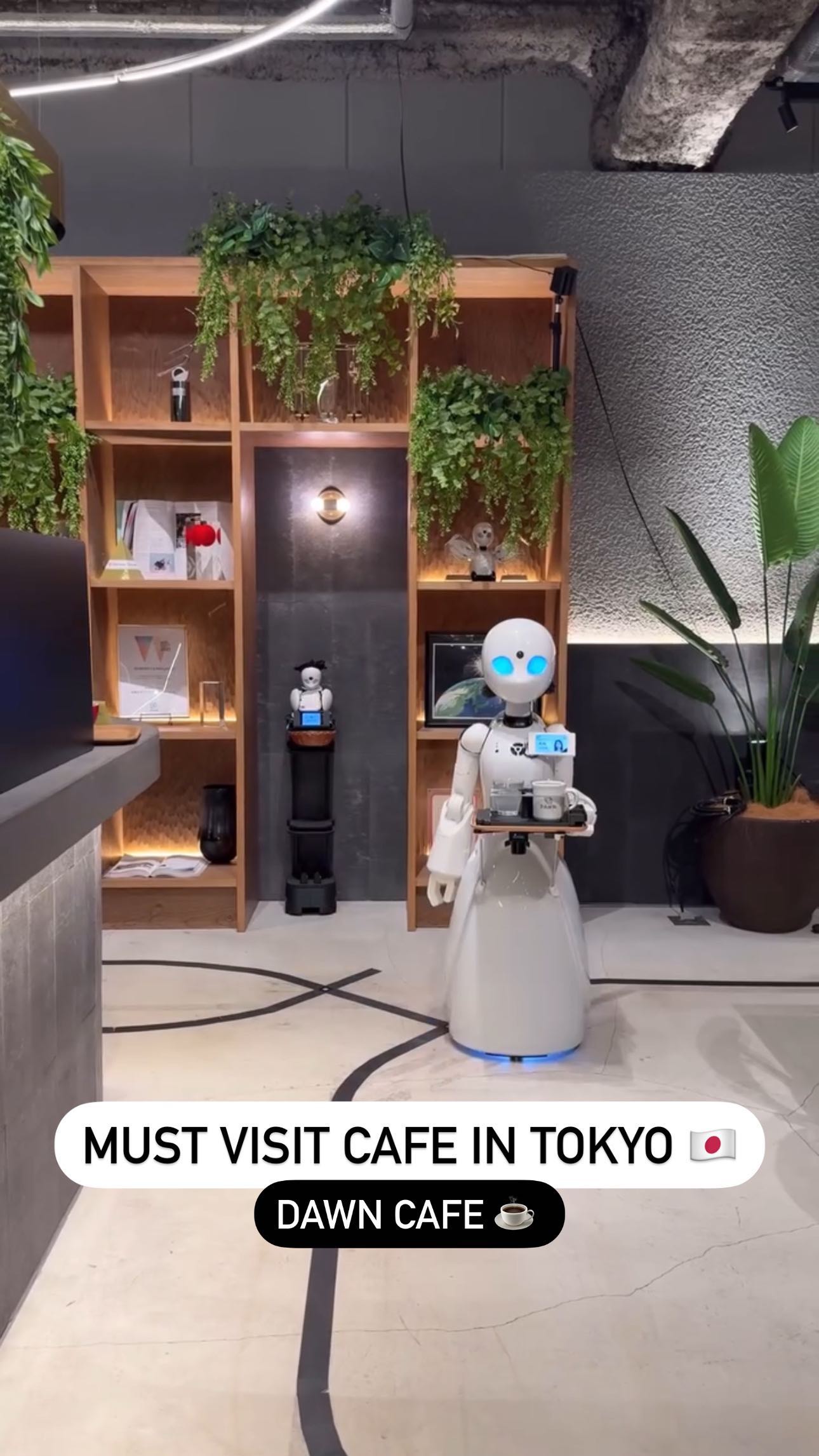 Tokyo's Robot Cafe Empowers People With Disabilities