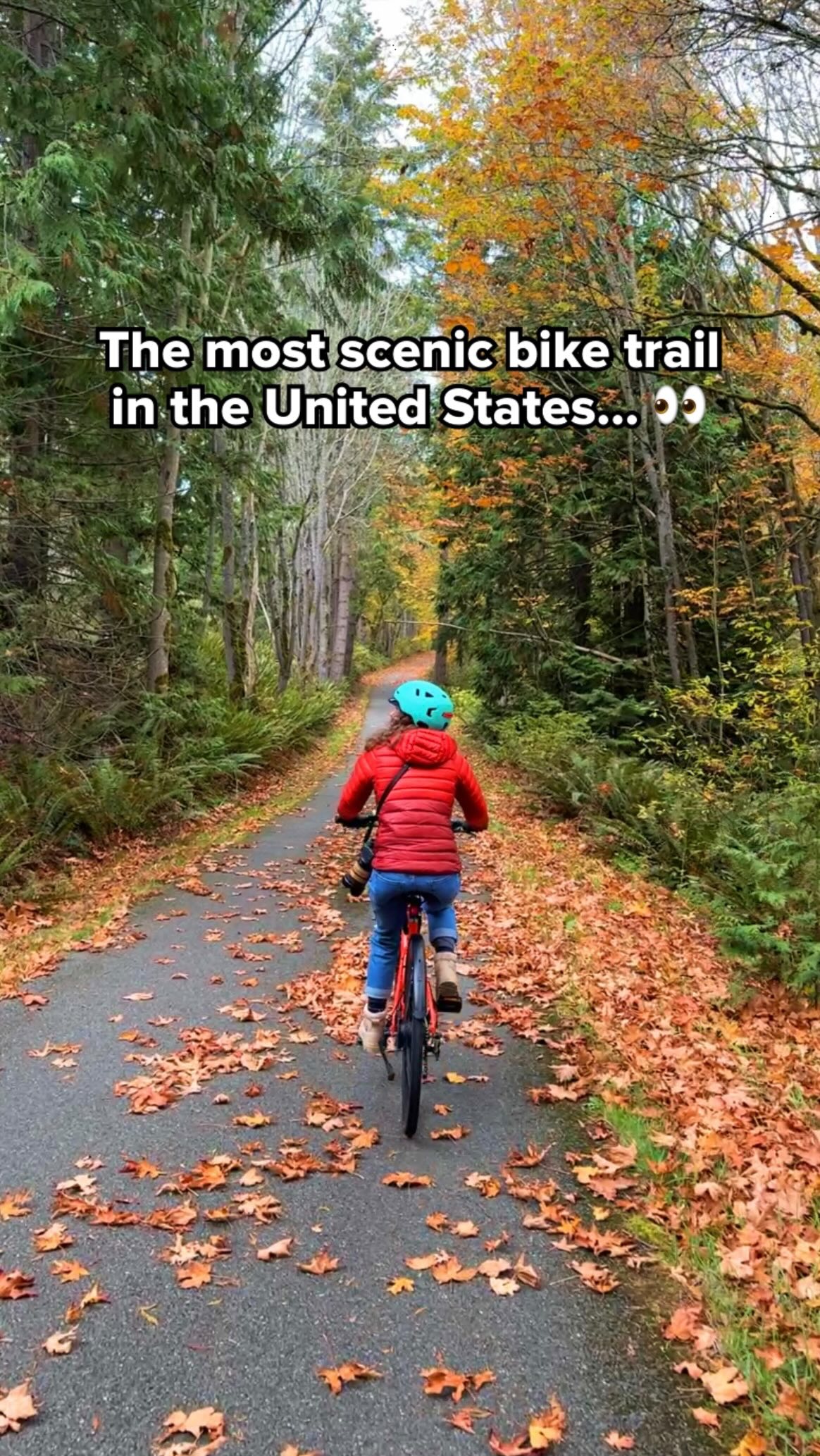 Olympic Discovery Trail: Nature, Food, and Activities