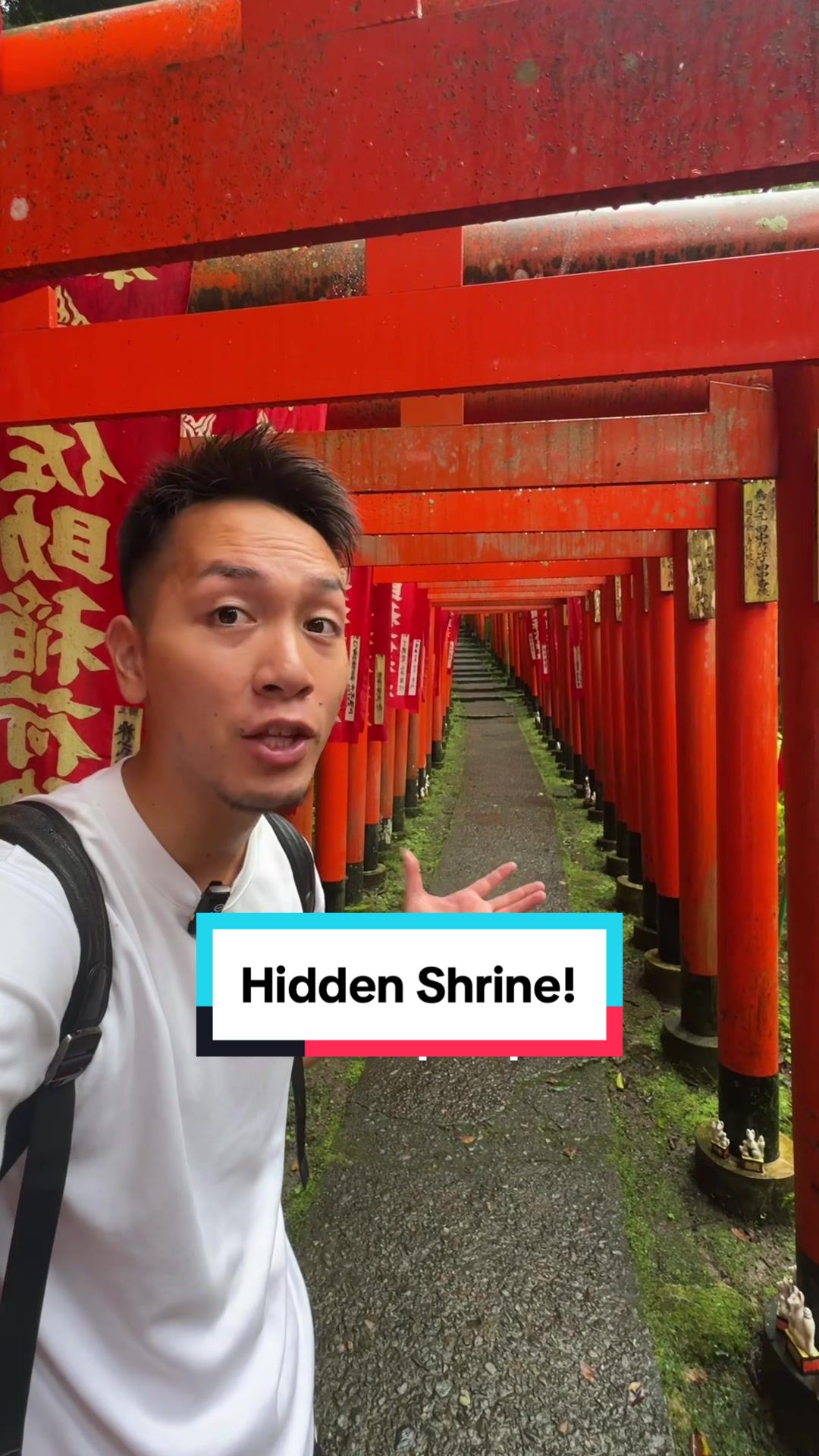 Japanese Shrines Feature Thousands Of Fox Statues
