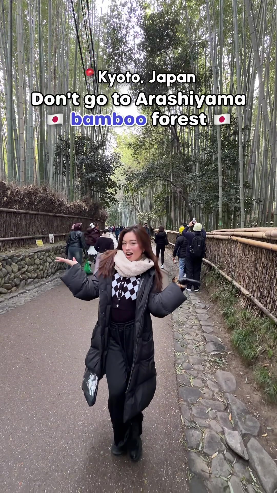 Kyoto's Serene Bamboo Groves And Temples