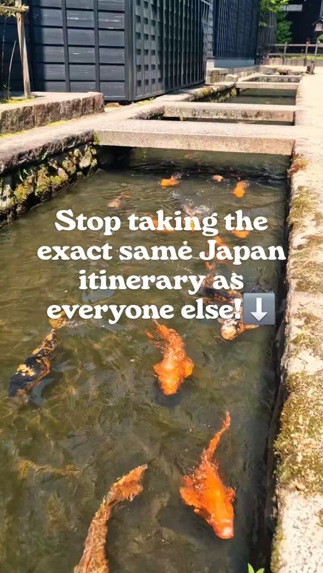 Escape to Japan's Golden Route's Hidden Gems