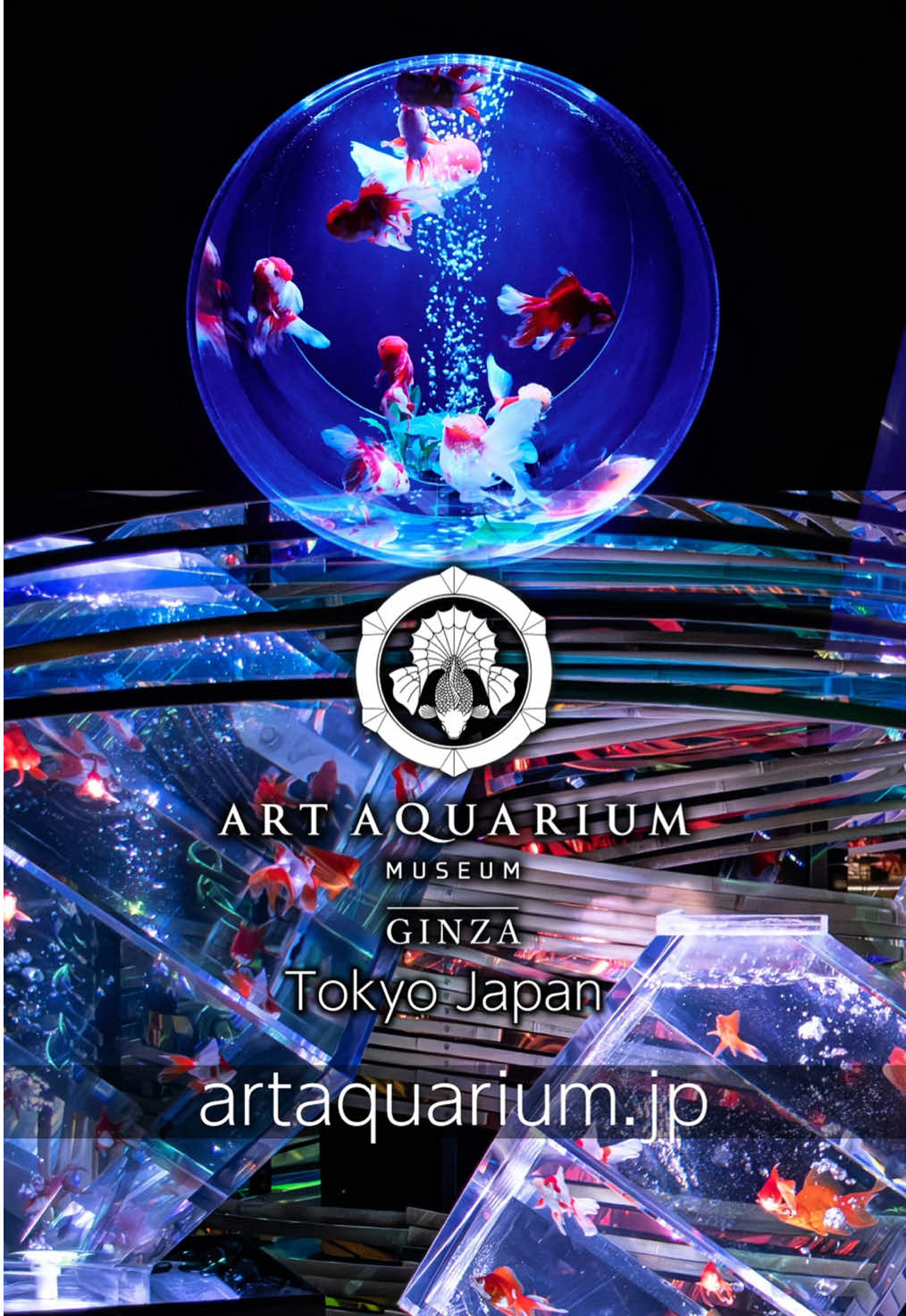 Art Aquarium Museum's Goldfish Culture Installation