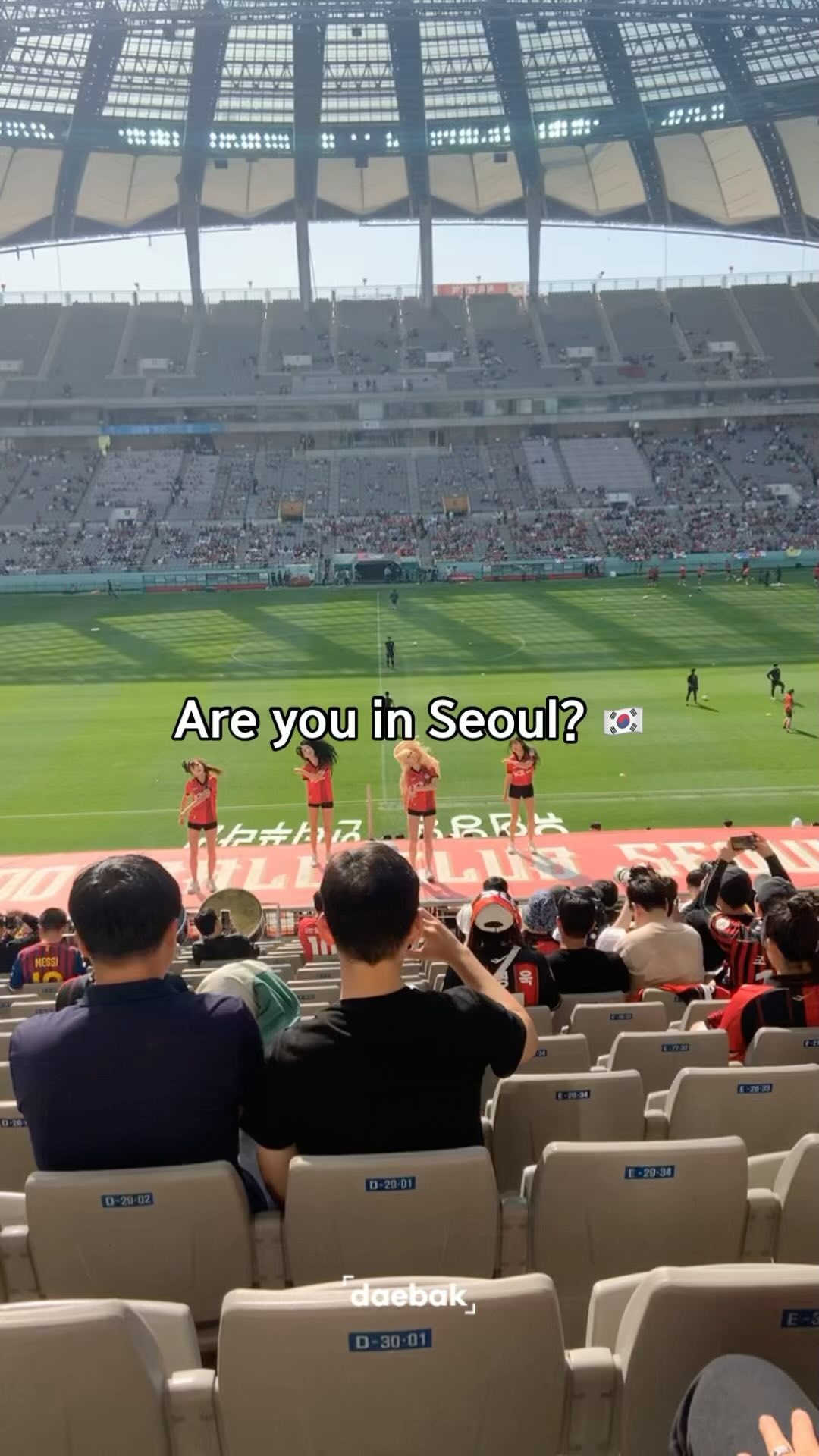 Experience FC Seoul Football Matches