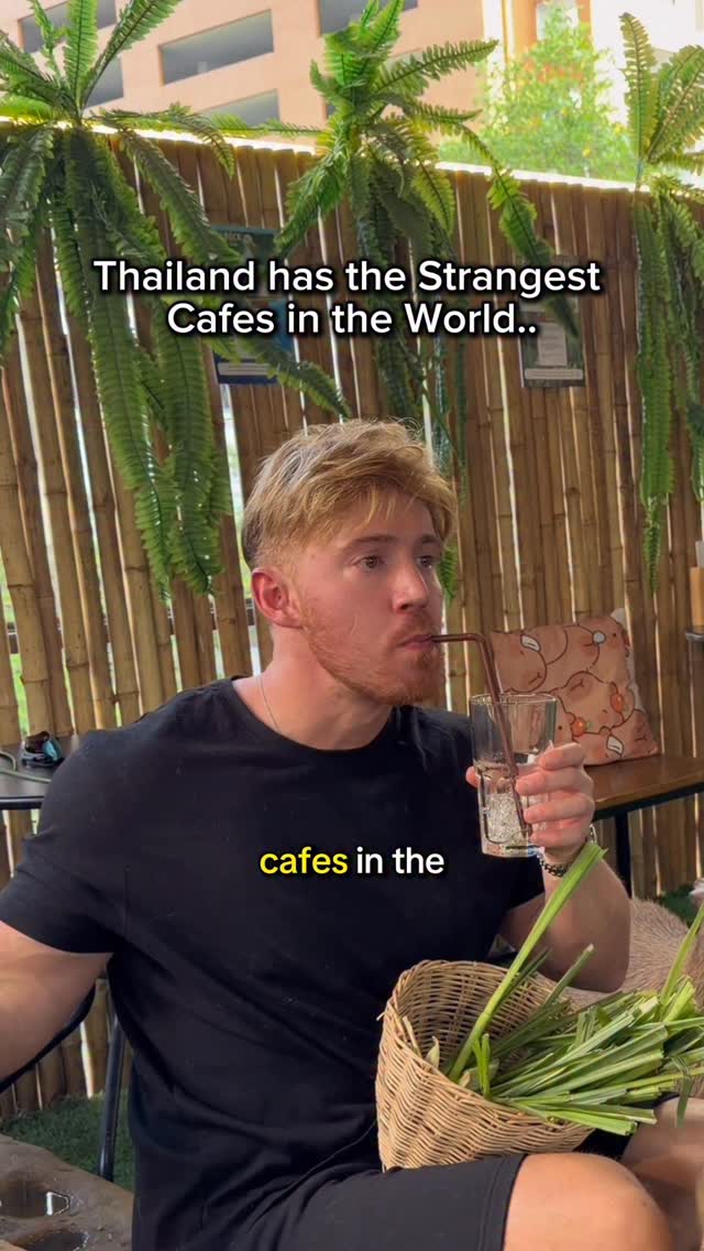 Capybara Coffee Offers Unique Animal Encounters
