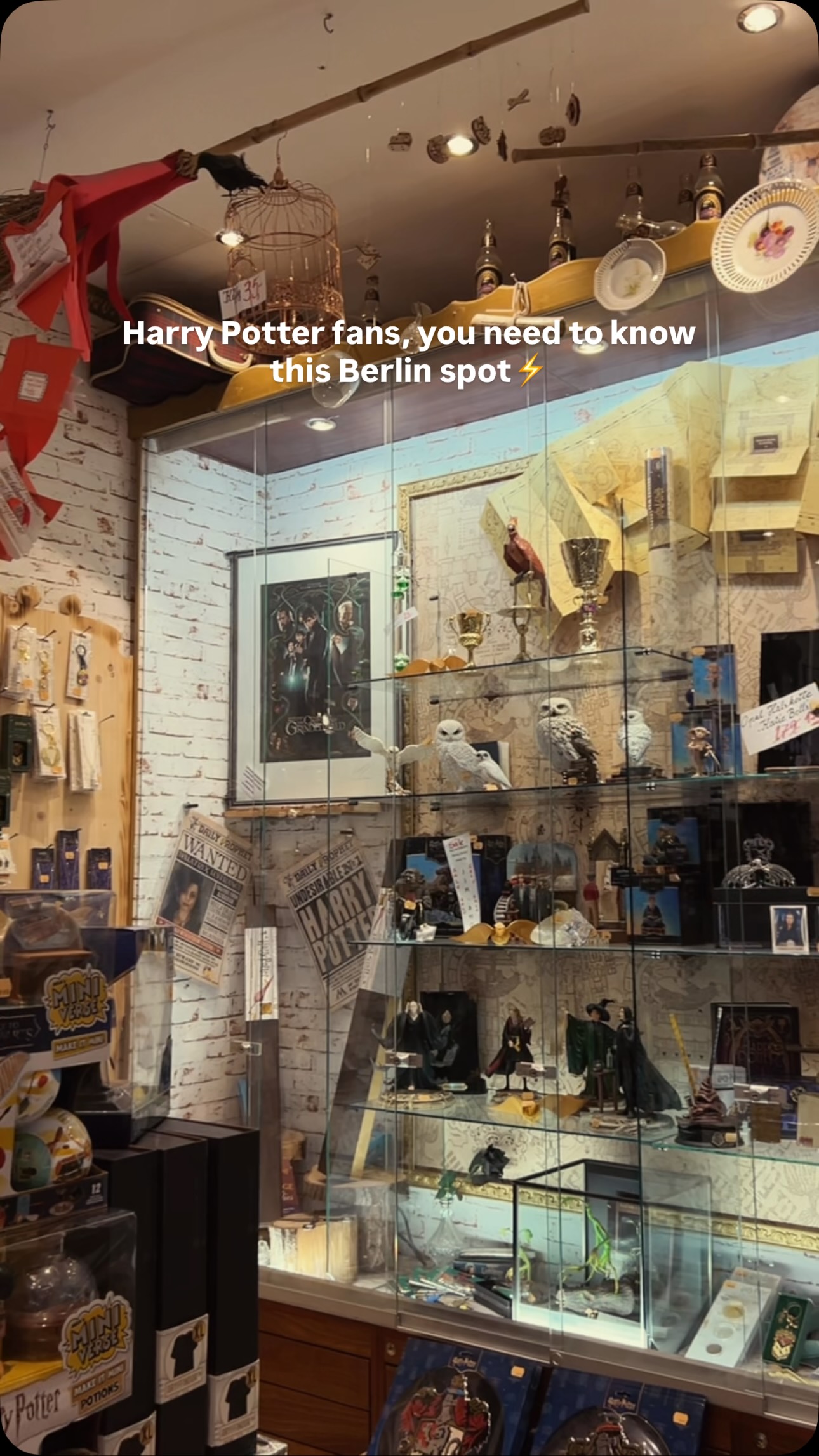 Berlin's Enchanting Harry Potter Store
