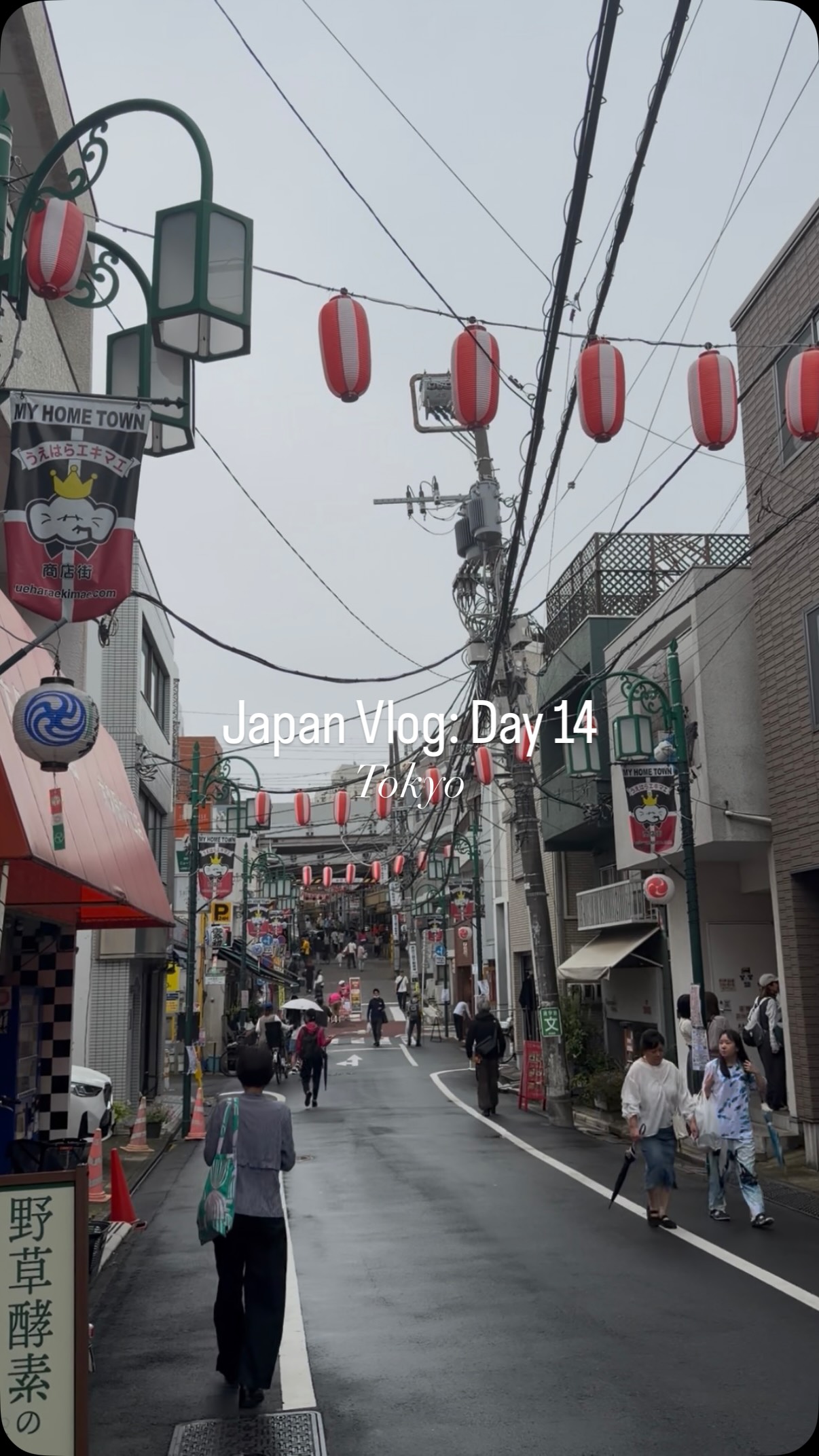 Tokyo's Hidden Coffee Shops And Dining