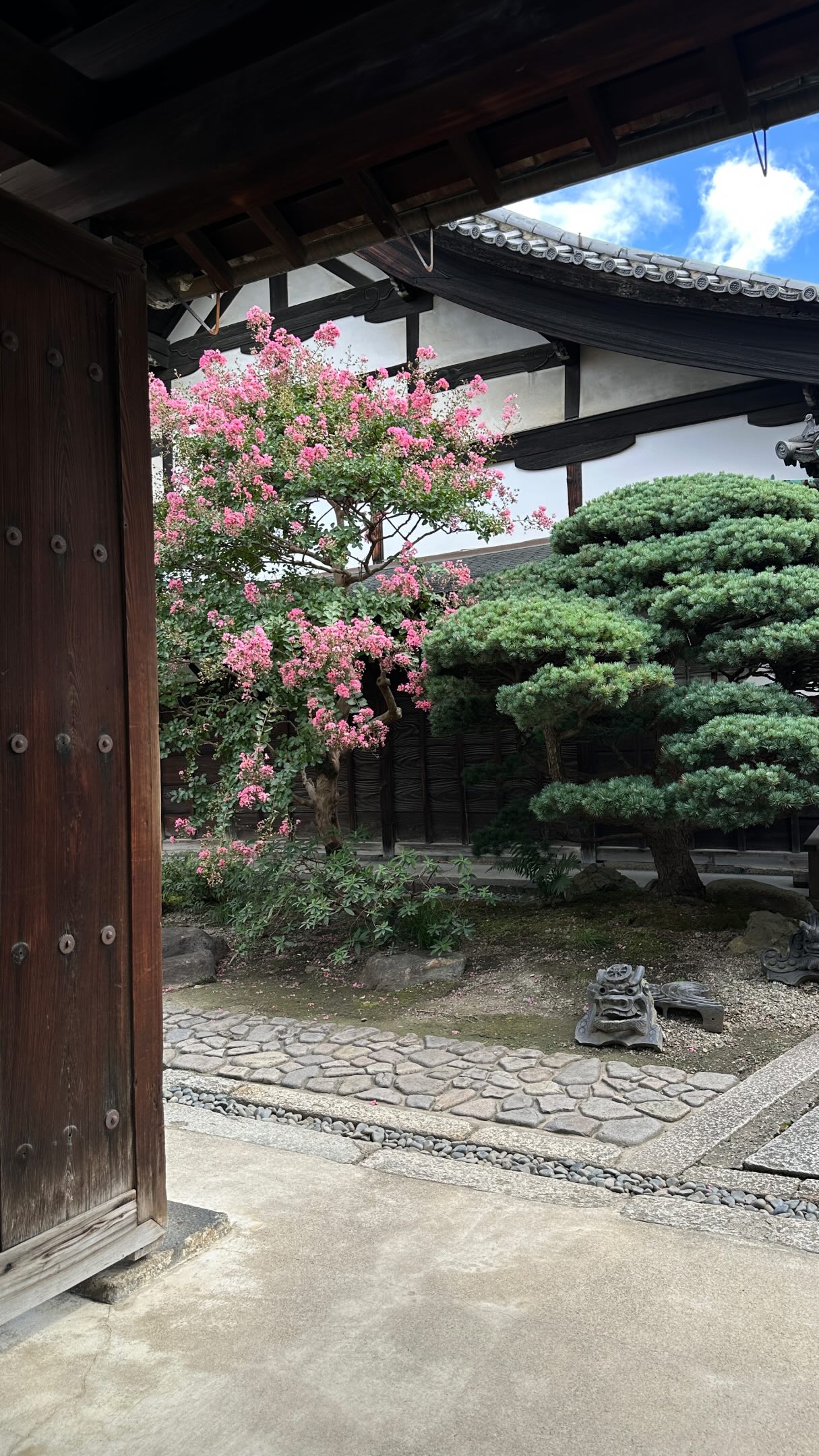 Tōji Temple Market Offers Diverse Goods