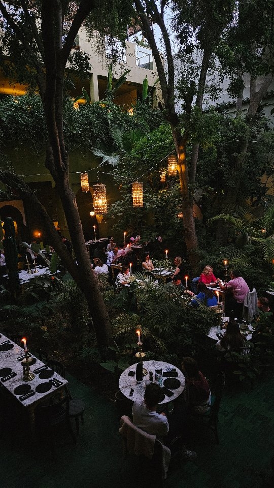 Marrakech's Tranquil Gardens and Rooftop Views