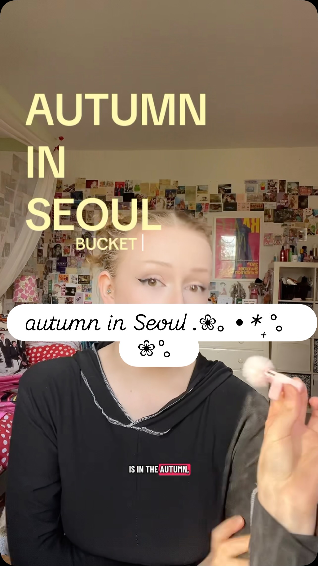Seoul's Best Spots for Autumnal Vibes