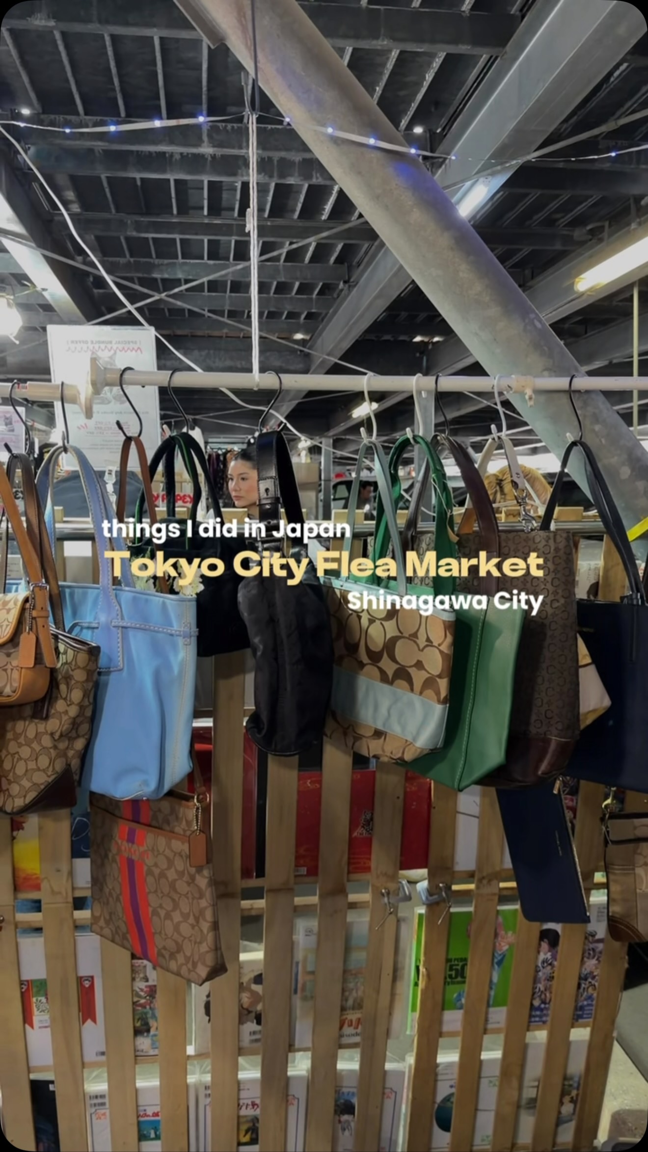 Tokyo City Flea Market Treasures