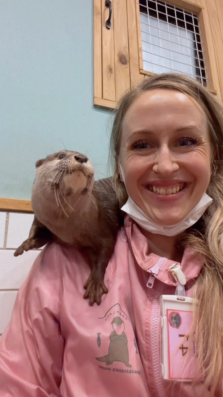 Otter Cafes