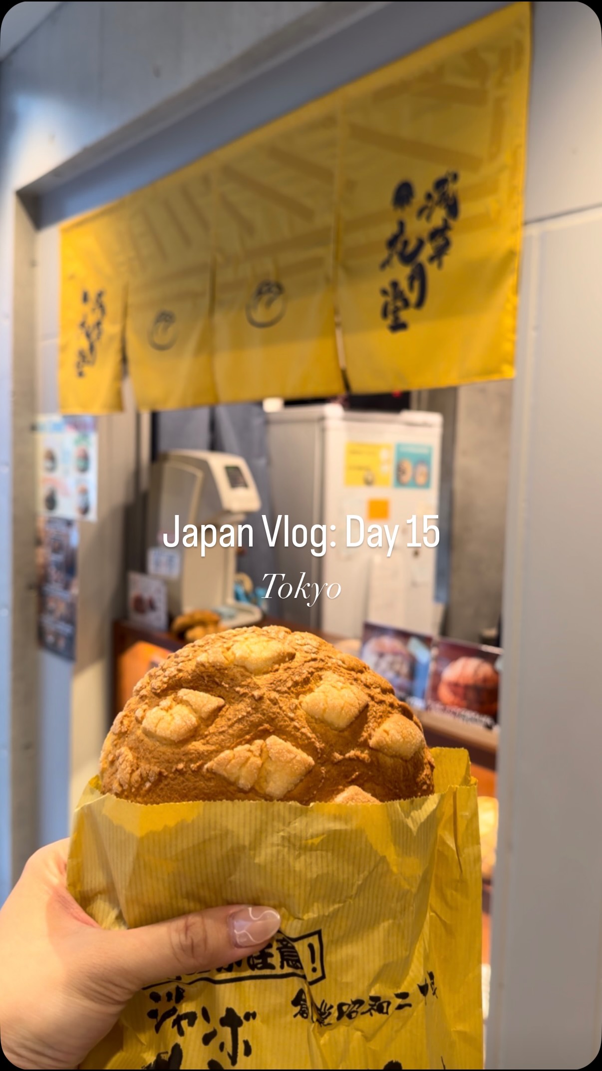 Tokyo Districts: Asakusa and Omotesando Shopping