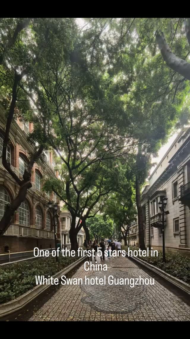 White Swan Hotel's Lush Guangzhou Surroundings