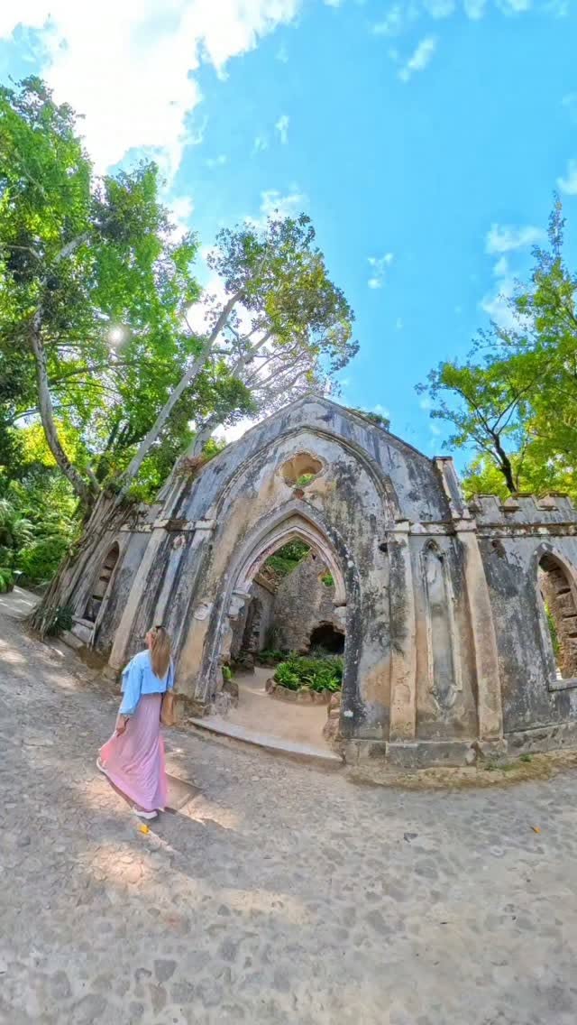 Monserrate Palace and Park's Exotic Gardens