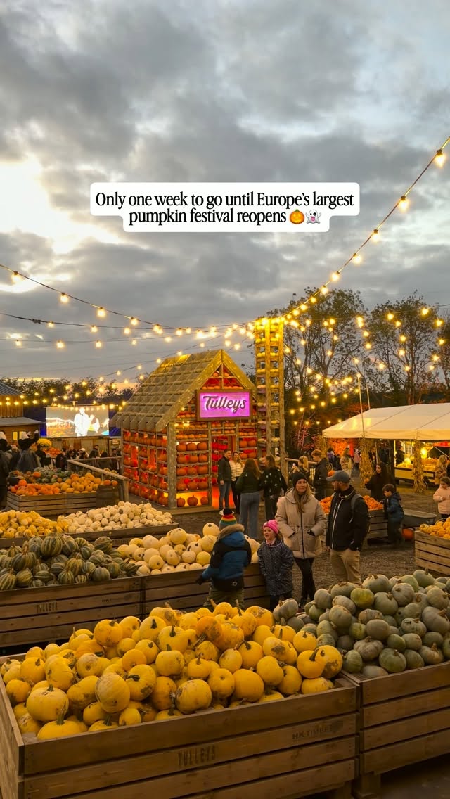 Tulleys Farm Hosts Festive Pumpkin Festival
