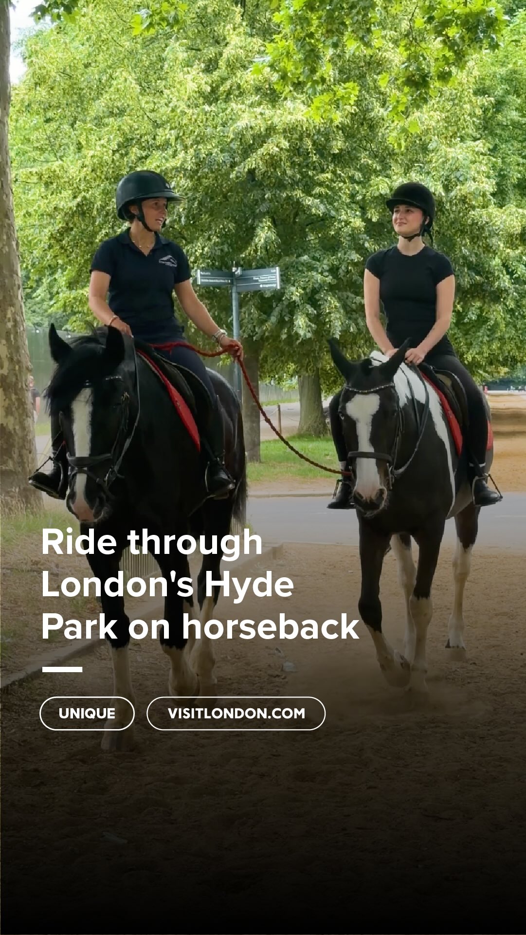 Central London Horse Riding In Hyde Park