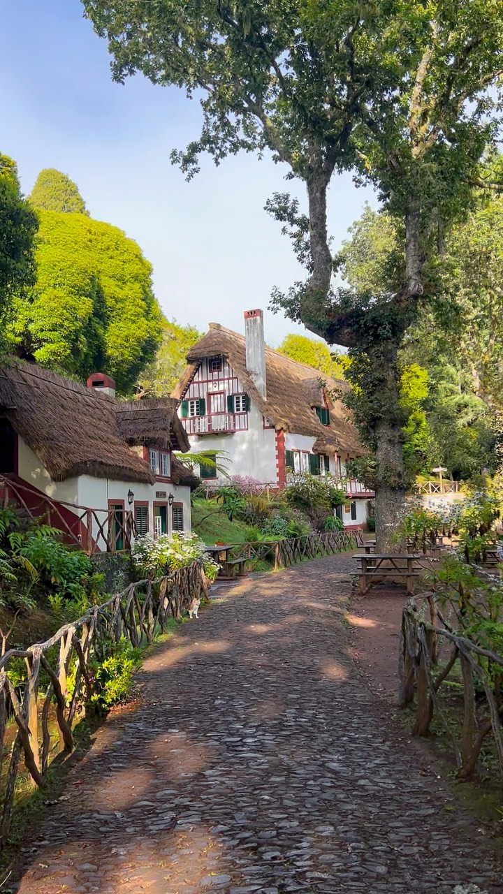 Madeira's Enchanting Forest Park And Hiking Trail