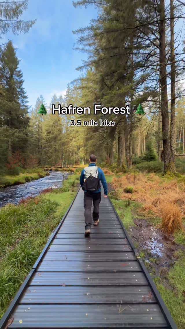 Mid Wales Forest Walk With Waterfalls