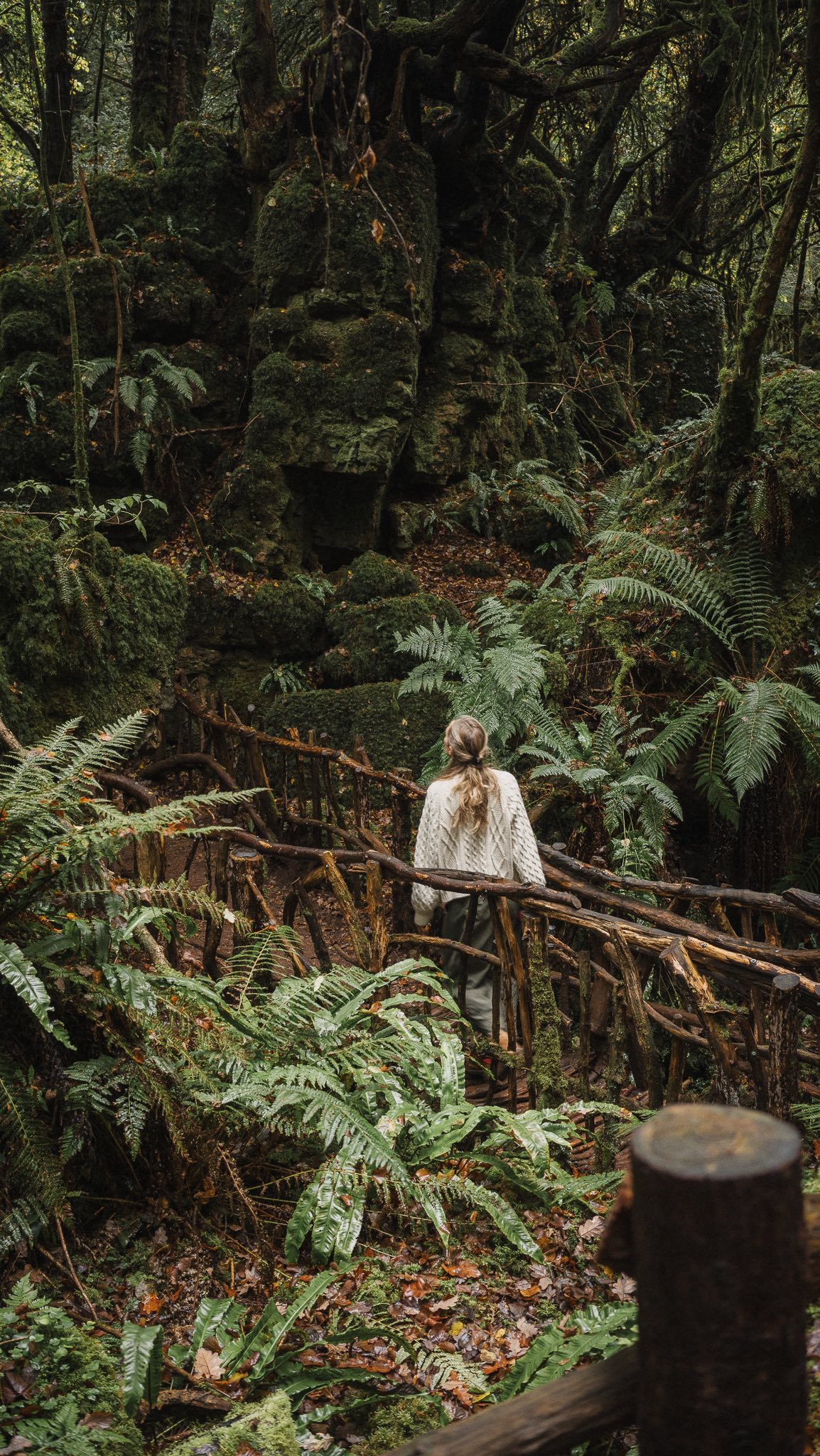 Puzzlewood: Unique Ancient Rainforest Filming Location