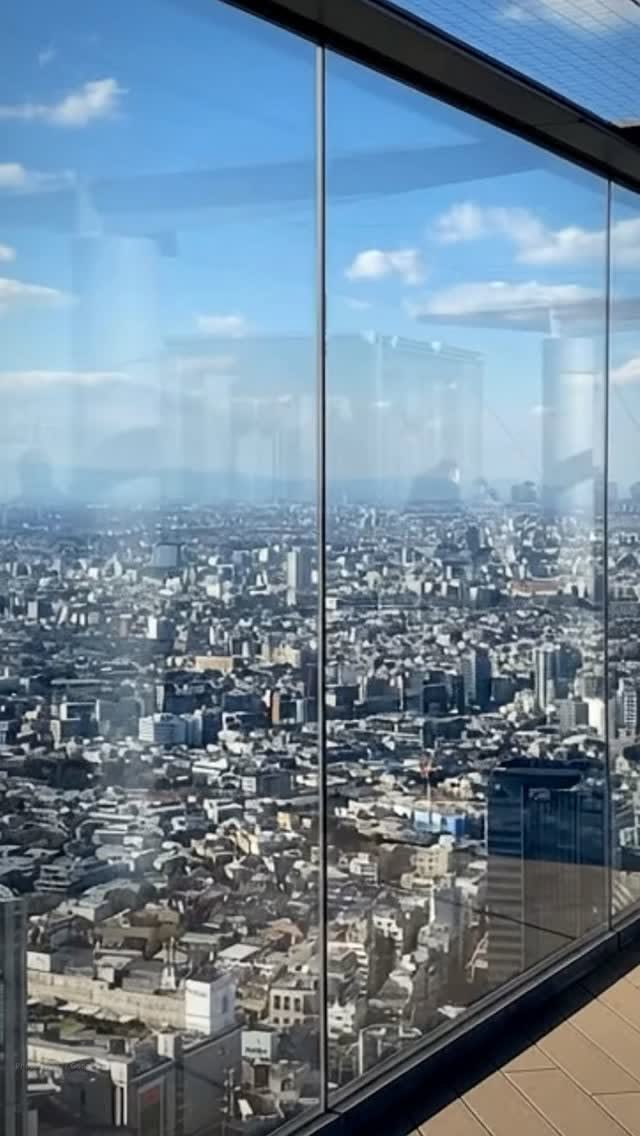 Tokyo's Free City Views And Mount Fuji