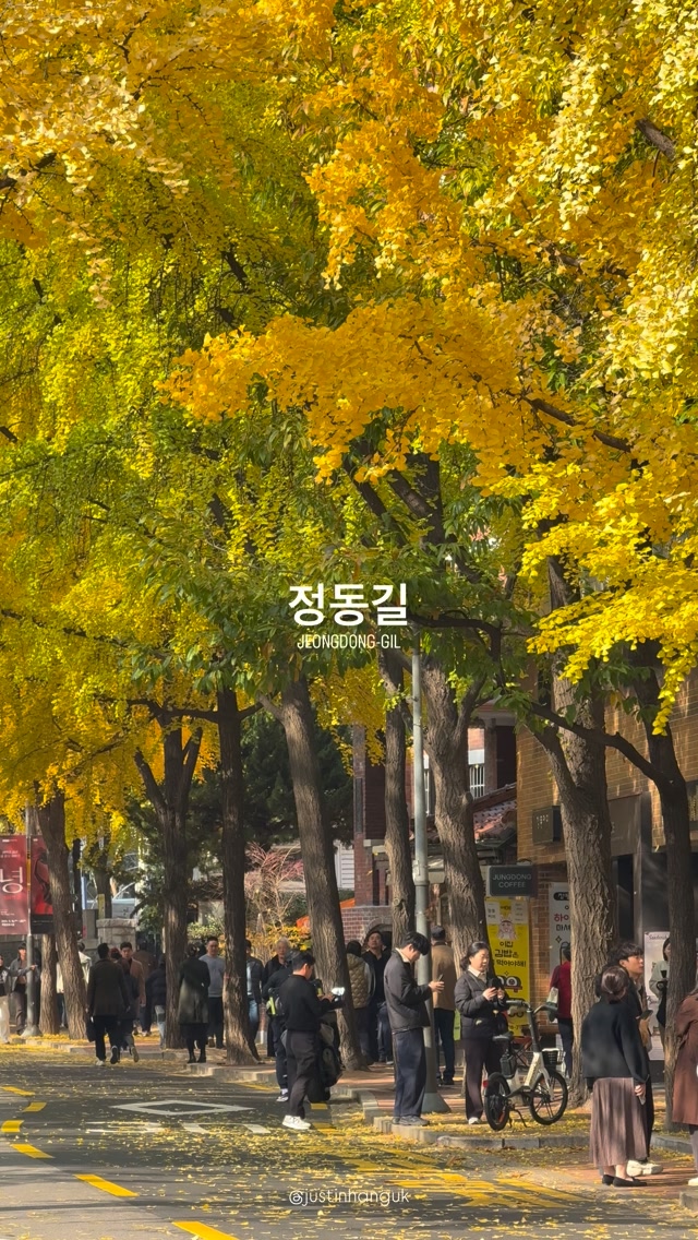 Jeongdong's Golden Stone Wall Road and Palace