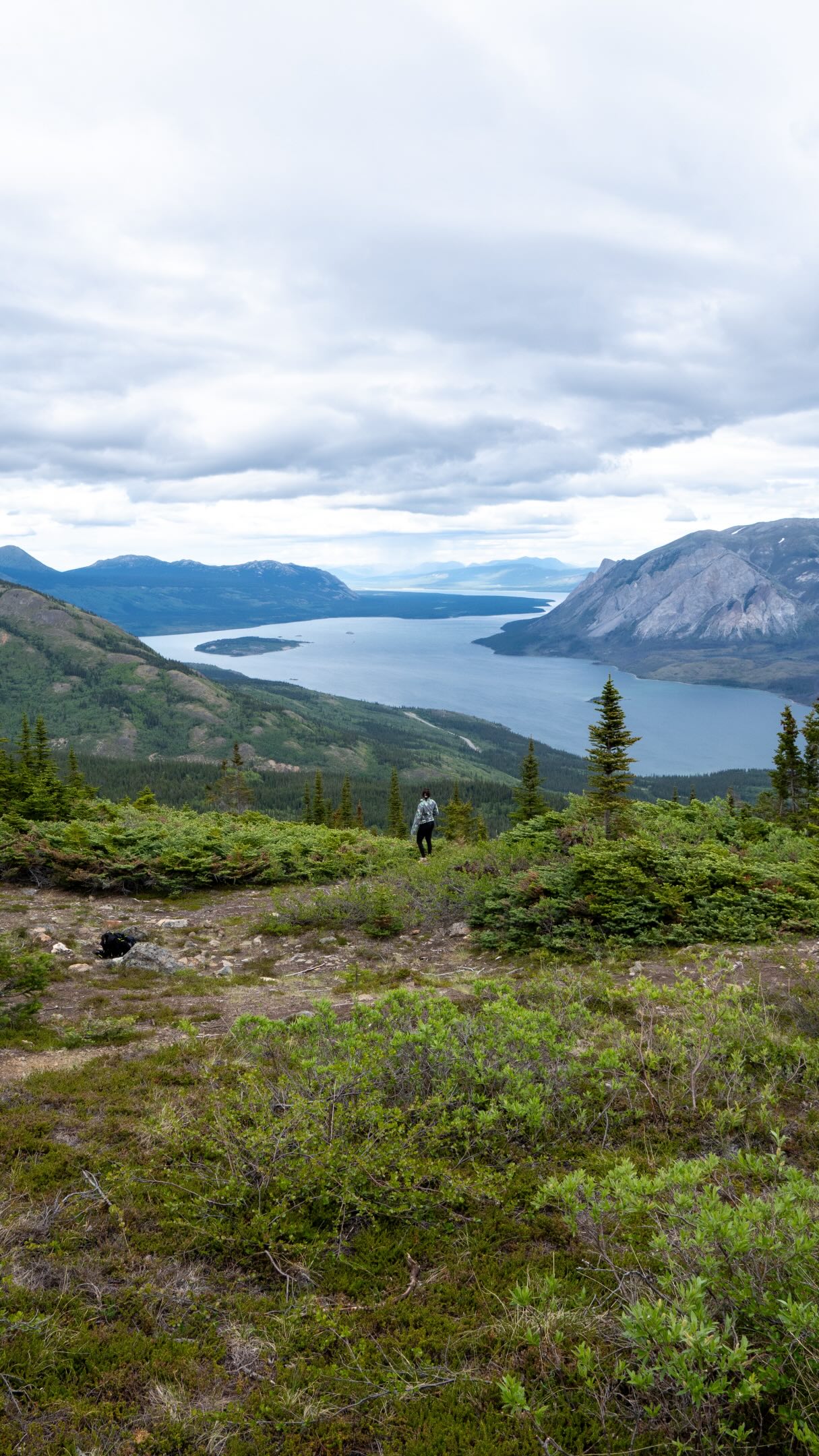 Yukon's Tombstone Territorial Park Highlighted