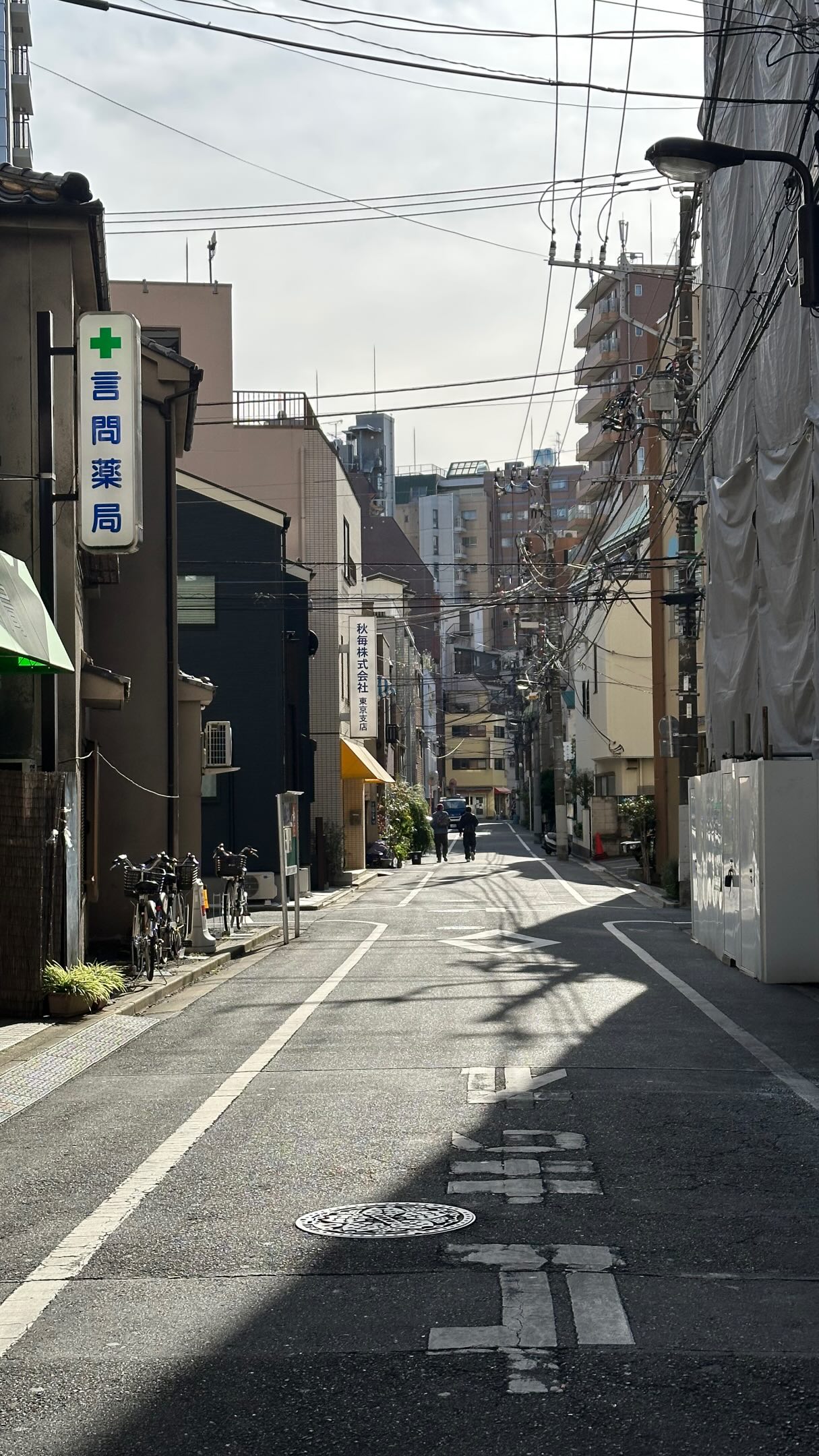 Tokyo's Unique Spots: Art, Books, Nature, Coffee