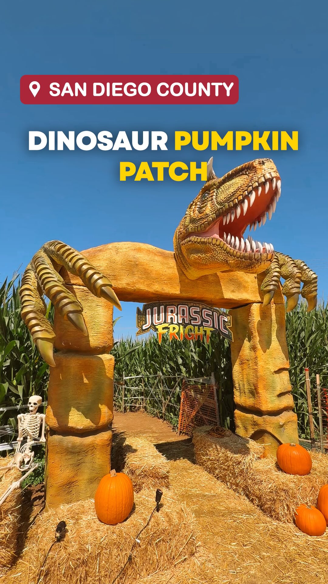 Pumpkin Patch And Dinosaur Maze In San Diego
