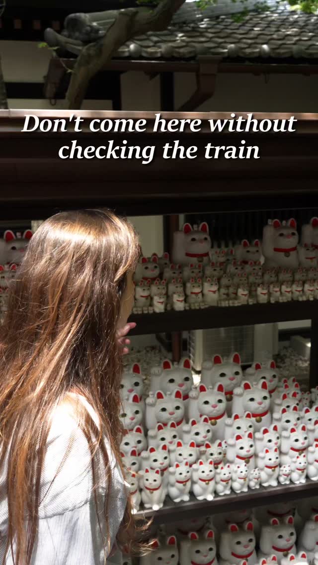 Setagaya's Cat Temples and Stations