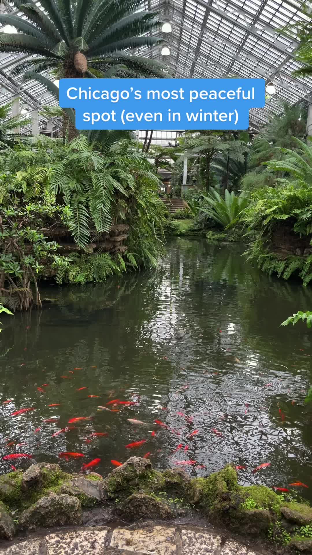 Chicago Parks With Indoor Botanical Gardens