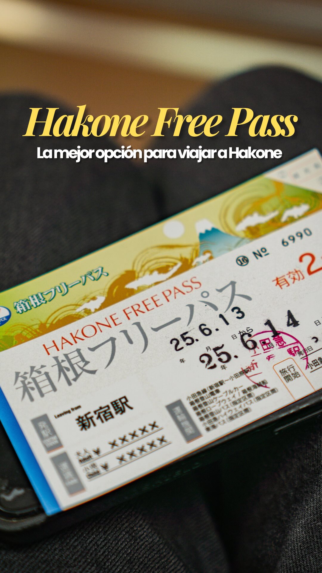 Hakone Free Pass: Unlimited Travel for Hakone Adventures