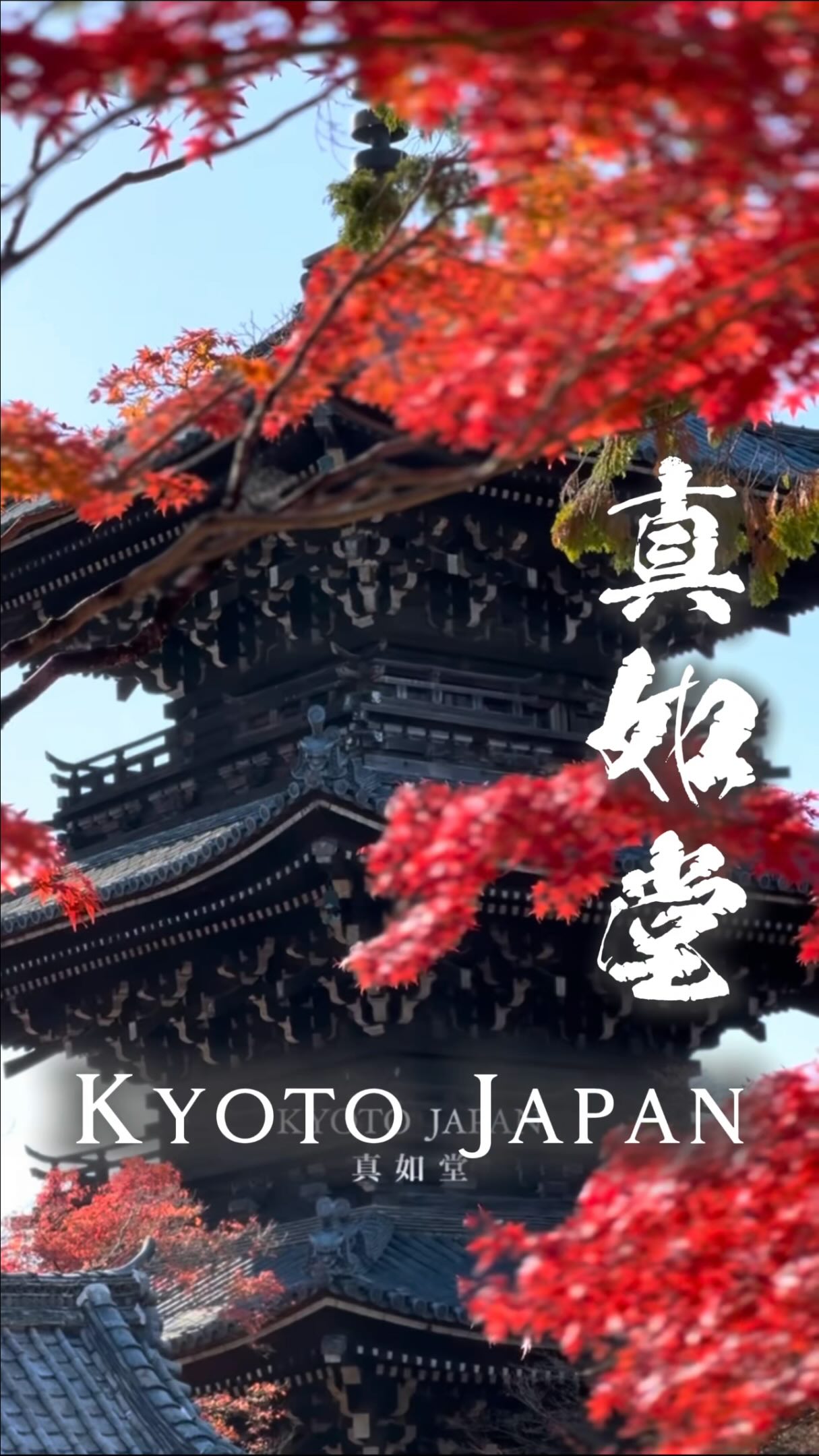 Kyoto's Shin-nyo-do Temple in Autumn