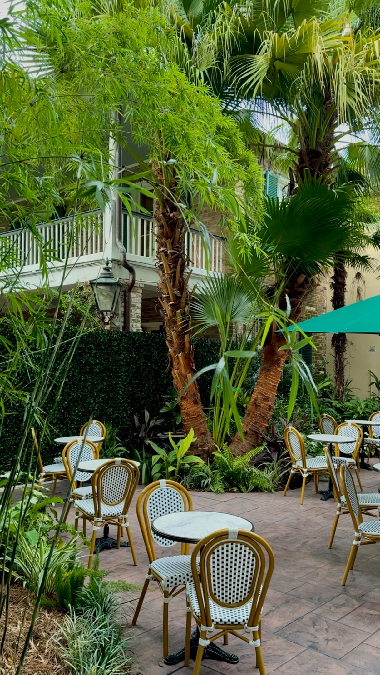 Le Petit Bleu Expands with Le Petit Patio