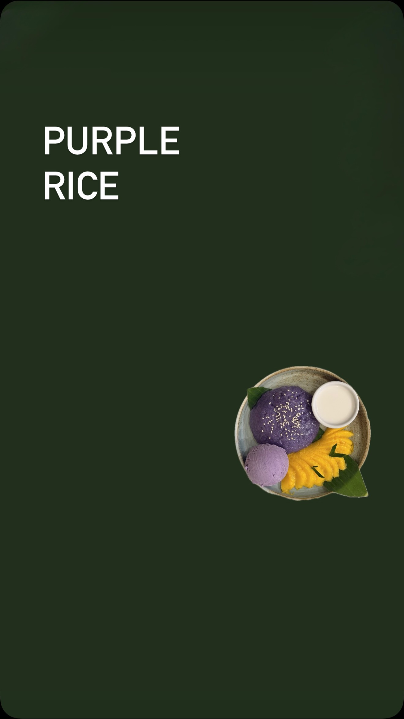 Purple Rice Thai Restaurant Review
