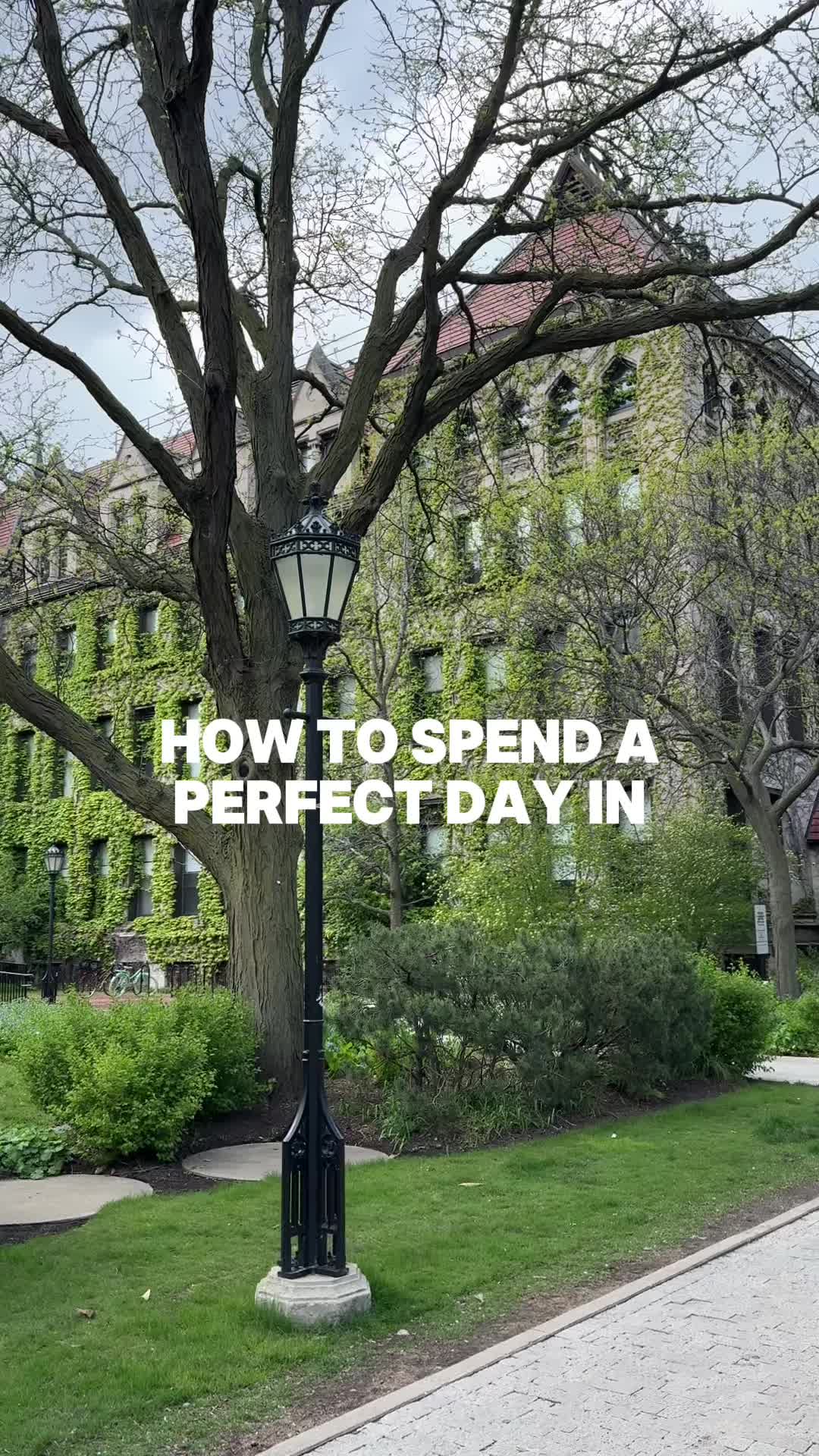 Hyde Park Chicago Neighborhood Guide