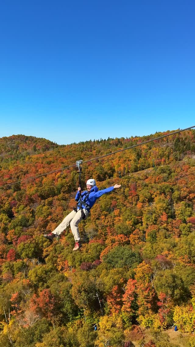 Zip-Lining Over Colorful Autumn Forests