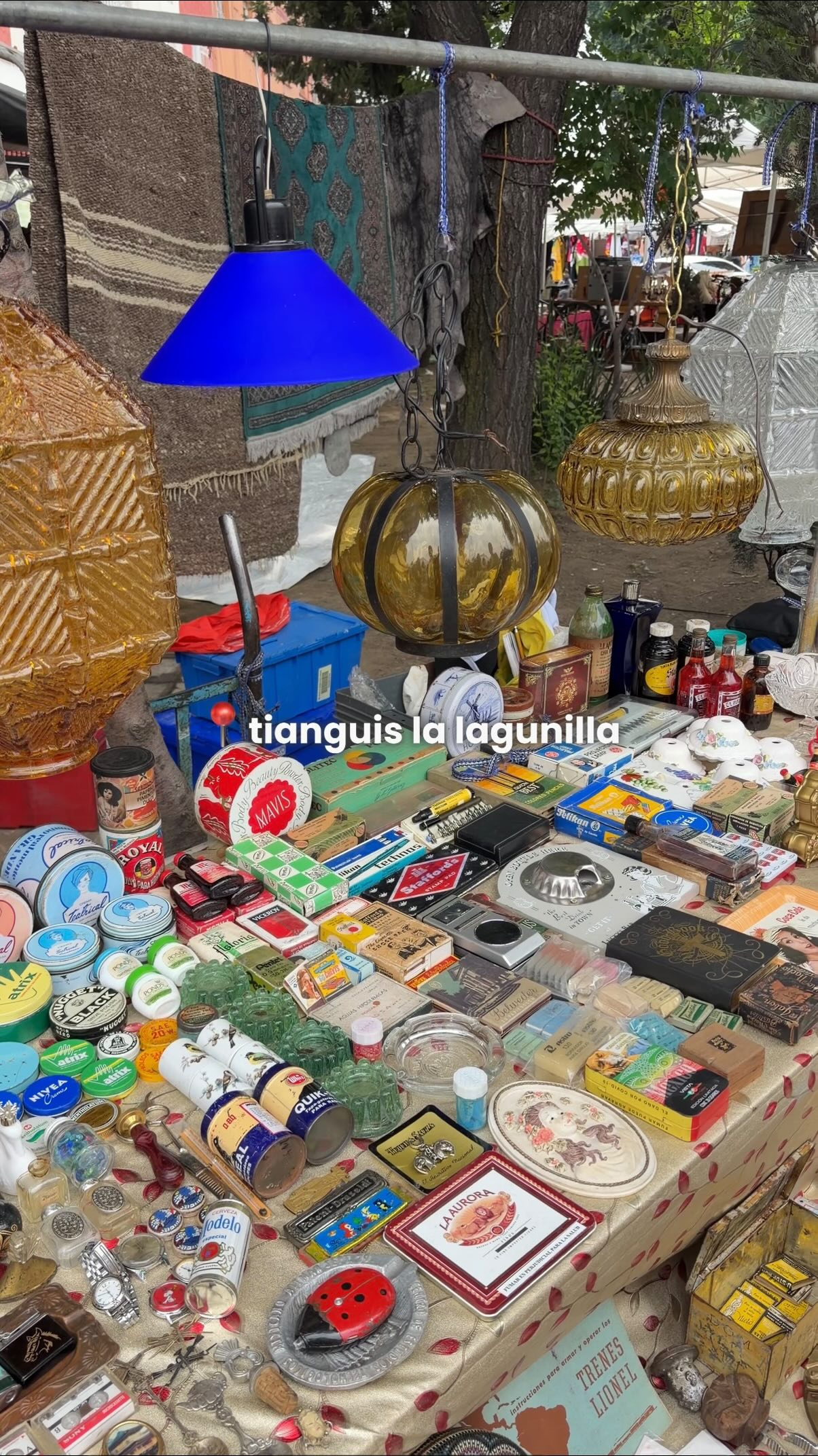 Mexico City Flea Market Treasures