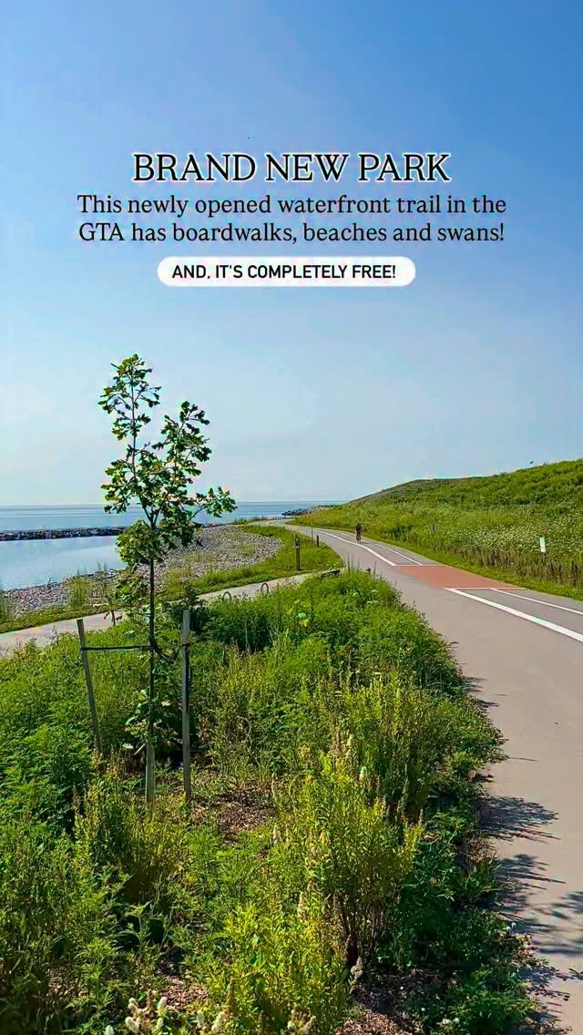 Waterfront Park Offers Views of CN Tower