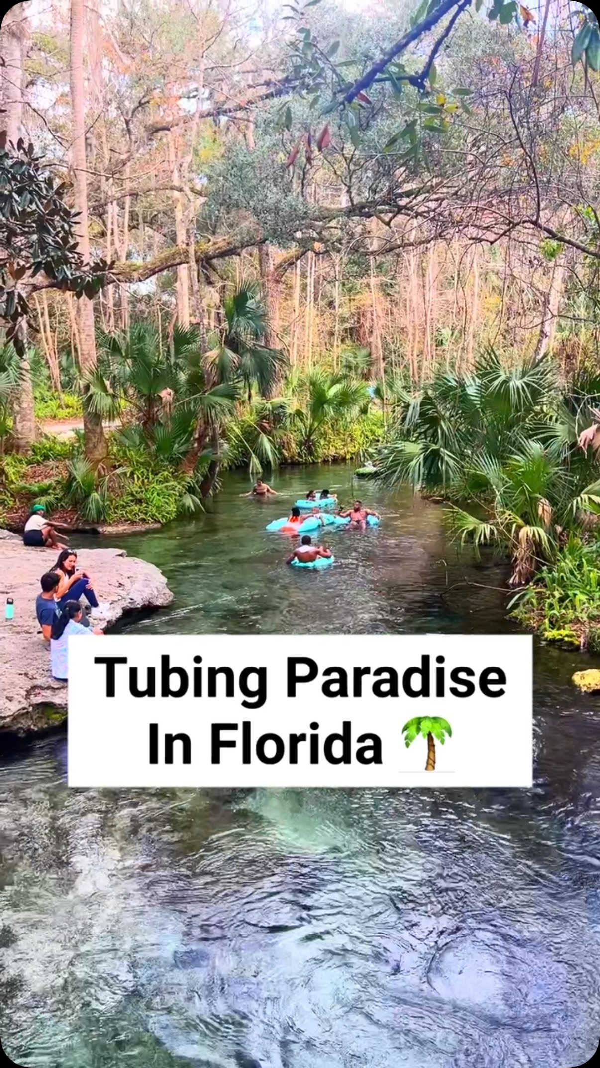 Kelly Park Rock Springs: A Florida Lazy River