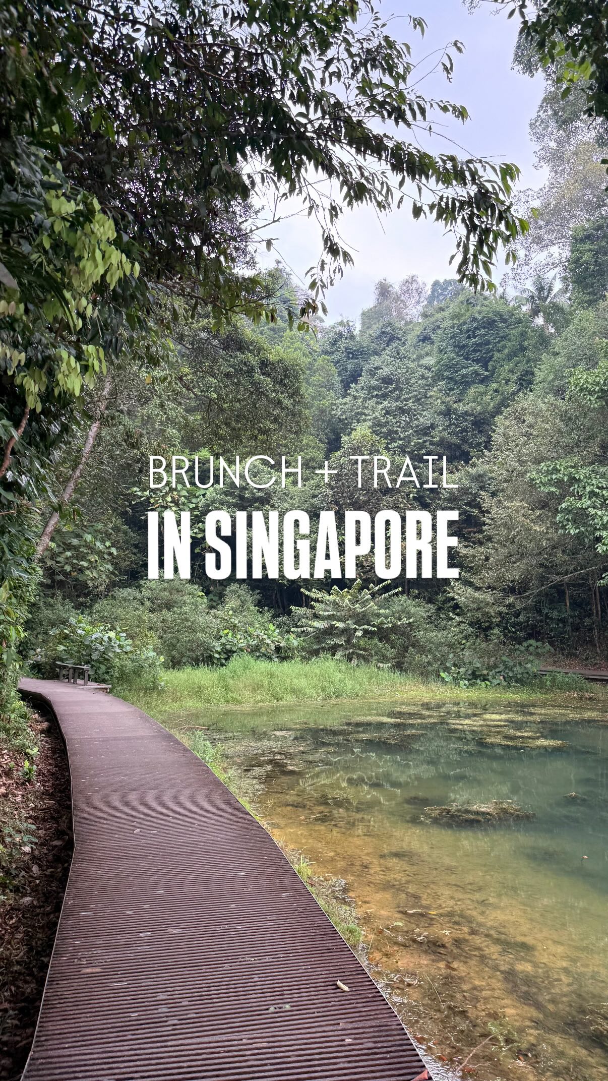 MacRitchie Reservoir, Food Peeps, Leonie Hill