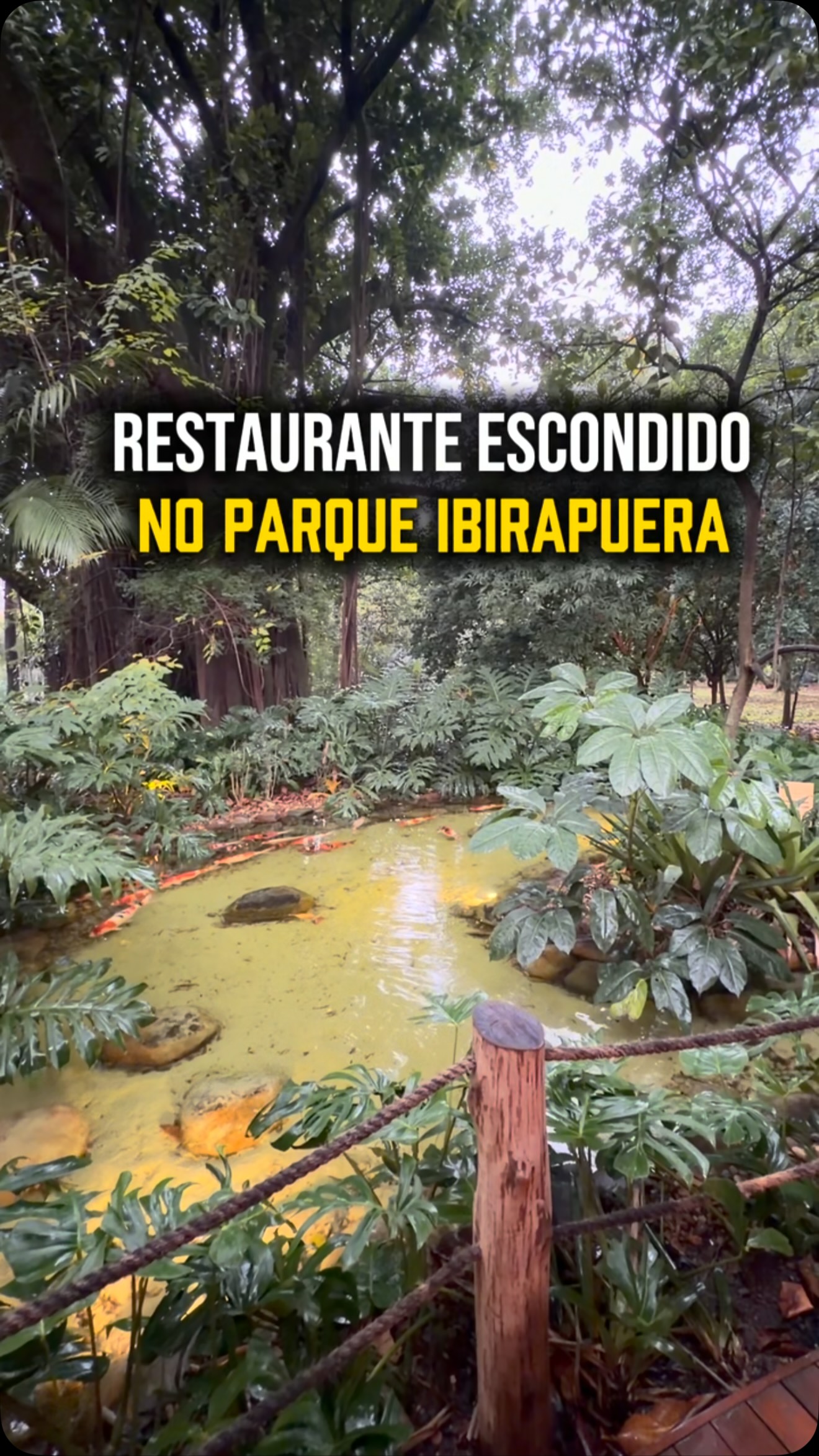 Hidden Restaurant in Ibirapuera Park