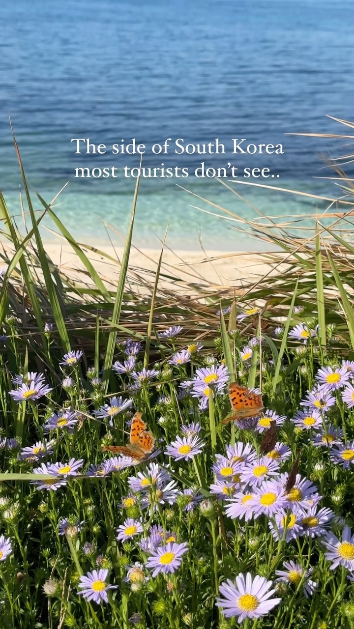 South Korea's Natural Wonders And Secret Gardens