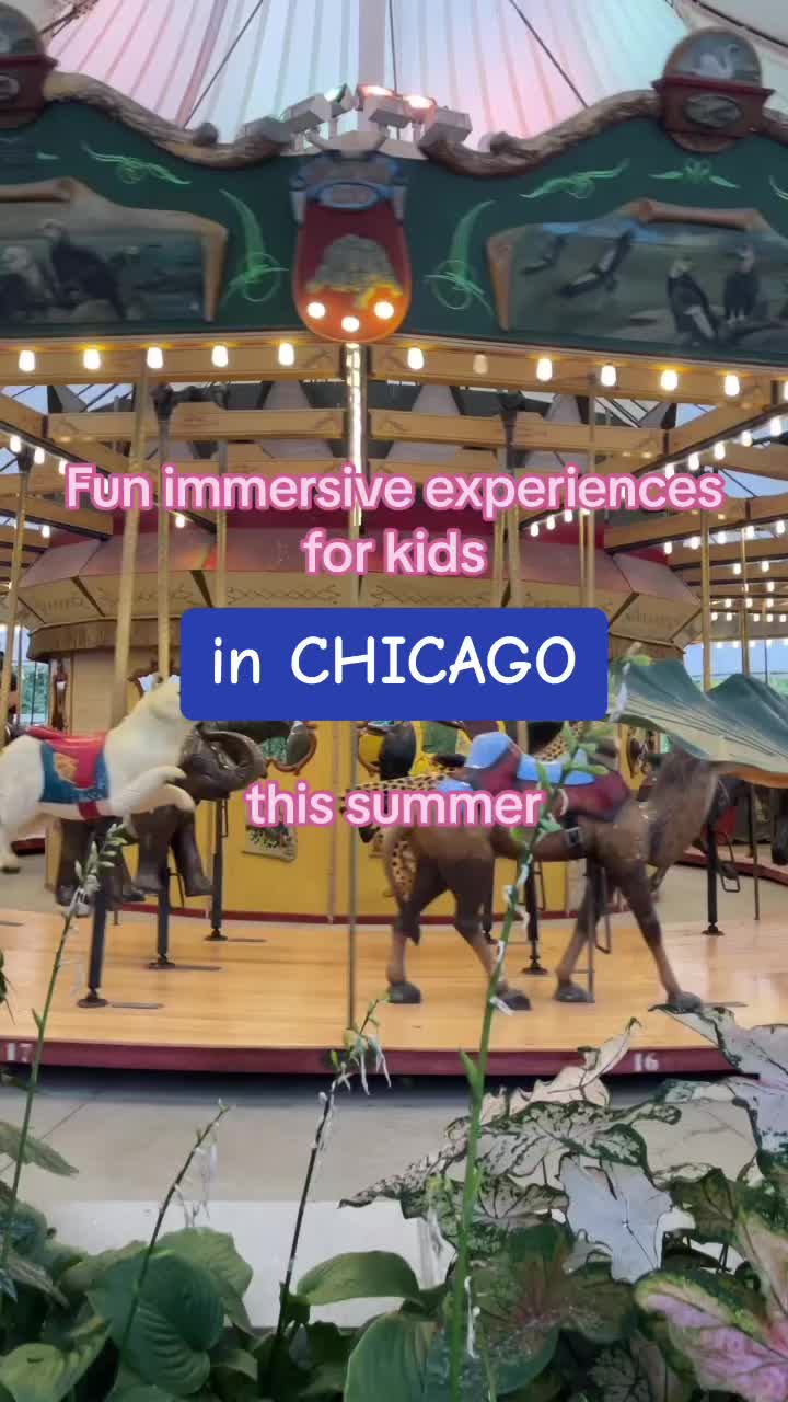 Immersive Chicago Attractions